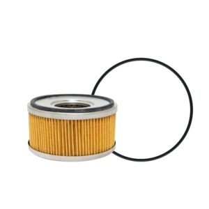 101-30 | Baldwin Filters: DAHL Fuel Element