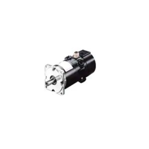 RS220KR1000 | DC Servo Motor