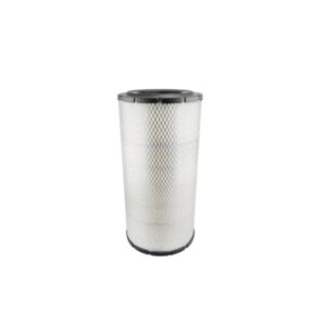 RS4989 | Baldwin Radial Seal Air Element